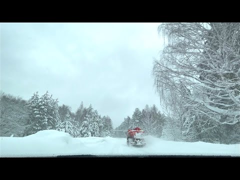 Анонс видео-теста Заснеженный Лес. Автопутешествие. Road Trip.