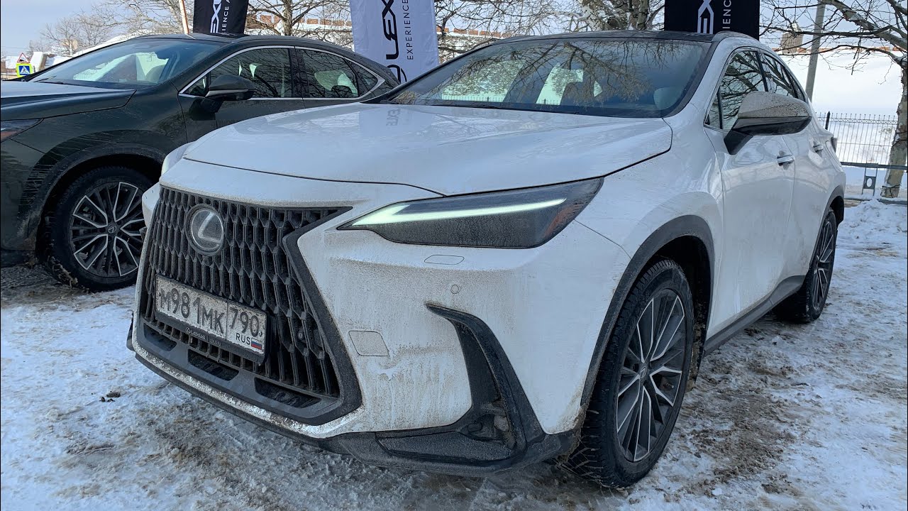 Анонс видео-теста Сел в lexus NX 2022 