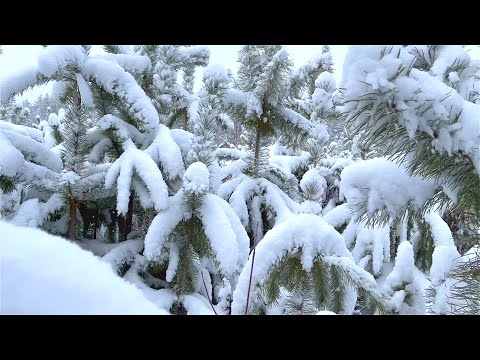 Анонс видео-теста Heavy Snowfall Naberezhnye Chelny